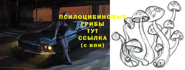 трава Карпинск