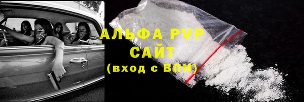 трава Карпинск