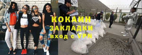 молекула духа Каменка