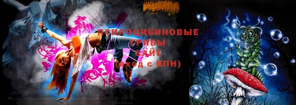 трава Карпинск