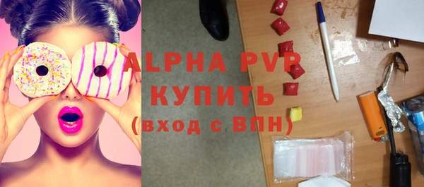 молекула духа Каменка