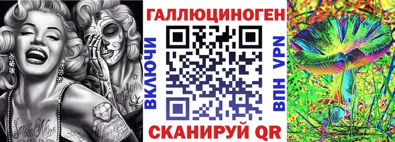 Галлюциногенные грибы Psilocybe  Купить закладки  Белоозёрский 